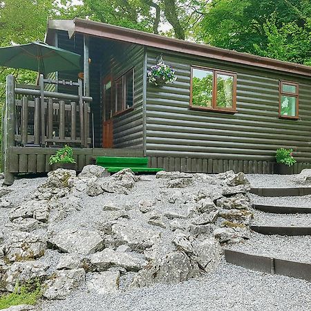 Hotel Garnffrwd Park Llanddarog Exterior foto